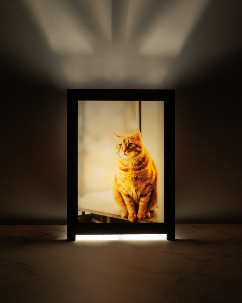 Customized Backlit Photo Lamp E12